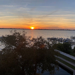 Meet your Posher, Robin